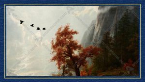 Beautiful Evening - Image 4